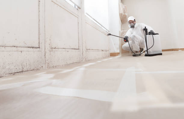 24/7 Emergency Commercial Mold Remediation experts in Harrisburg, NC