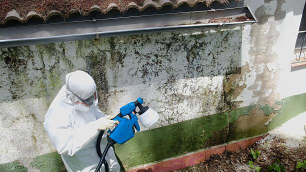Top rated local Basement Mold Removal specialists in Harrisburg, NC